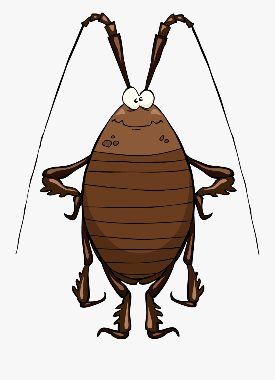 Featured image of post Cockroach Clipart Images All cockroach png images are displayed below available in 100 png transparent white browse and download free cockroach png clipart background transparent background image available in