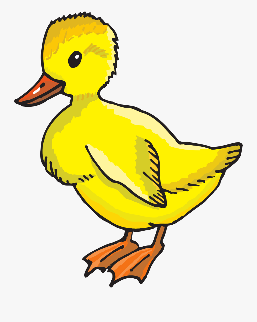 Duckling Clipart Follow Me - Clipart Duck, Transparent Clipart
