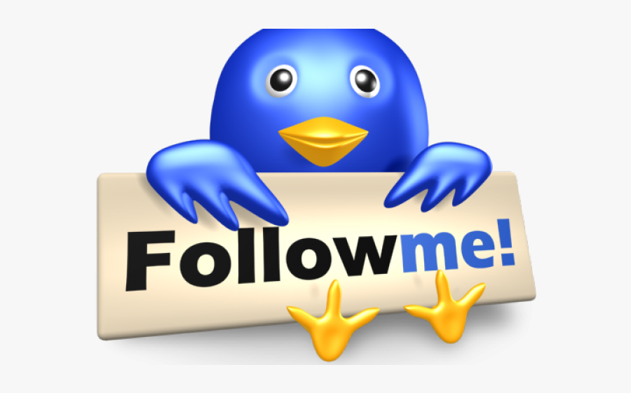 следуй за мной. наталья осман в индии. мурад осман. Follow me media. наталья осман иордания.