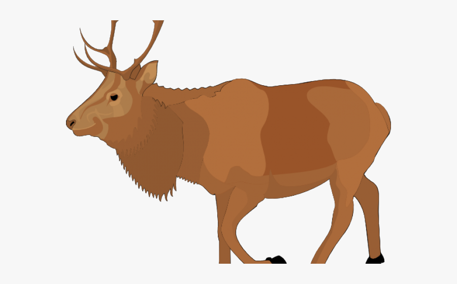 Real Reindeer Clipart, Transparent Clipart