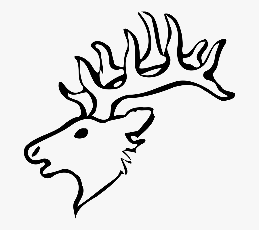 Elk Face Easy Drawing, Transparent Clipart