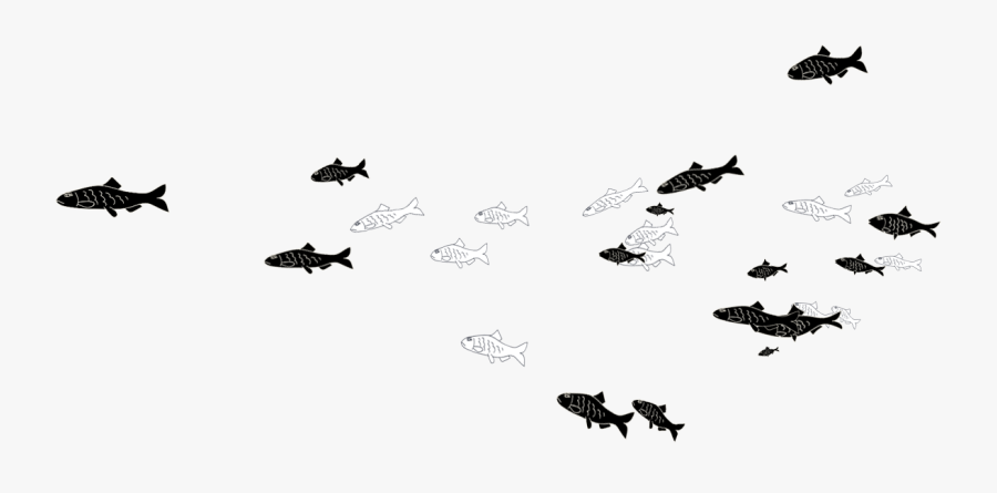 Giftcard Fish - Illustration, Transparent Clipart