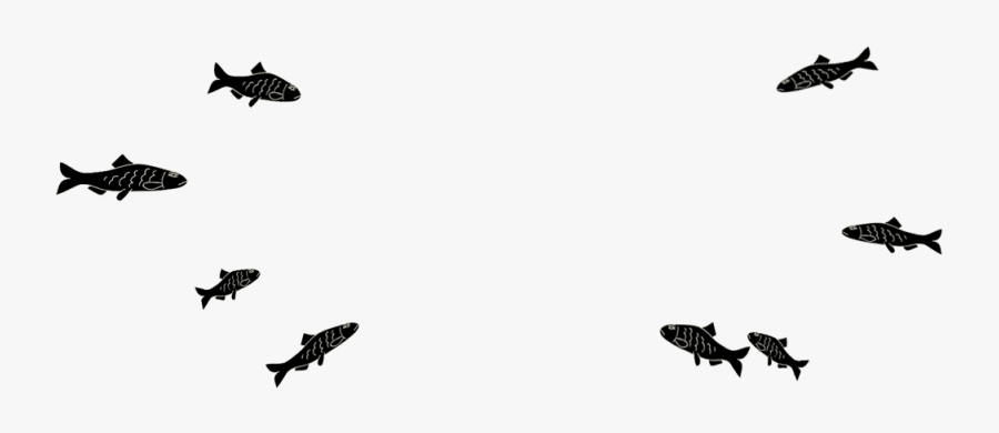 School Of Fish - Fish School Transparent, Transparent Clipart