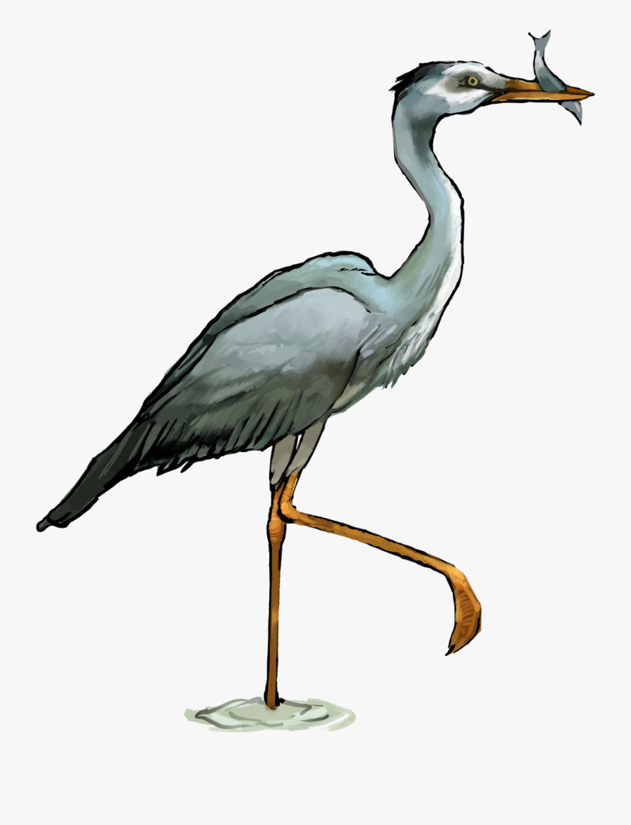 Clip Art Great Blue Heron Clipart - Transparent Heron Png, Transparent Clipart