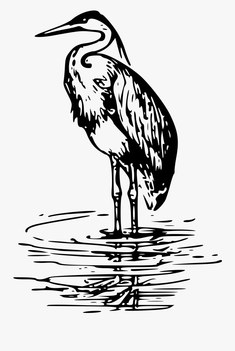 Green Heron Great Blue Heron Clip Art Great Egret - Blue Heron Black White, Transparent Clipart