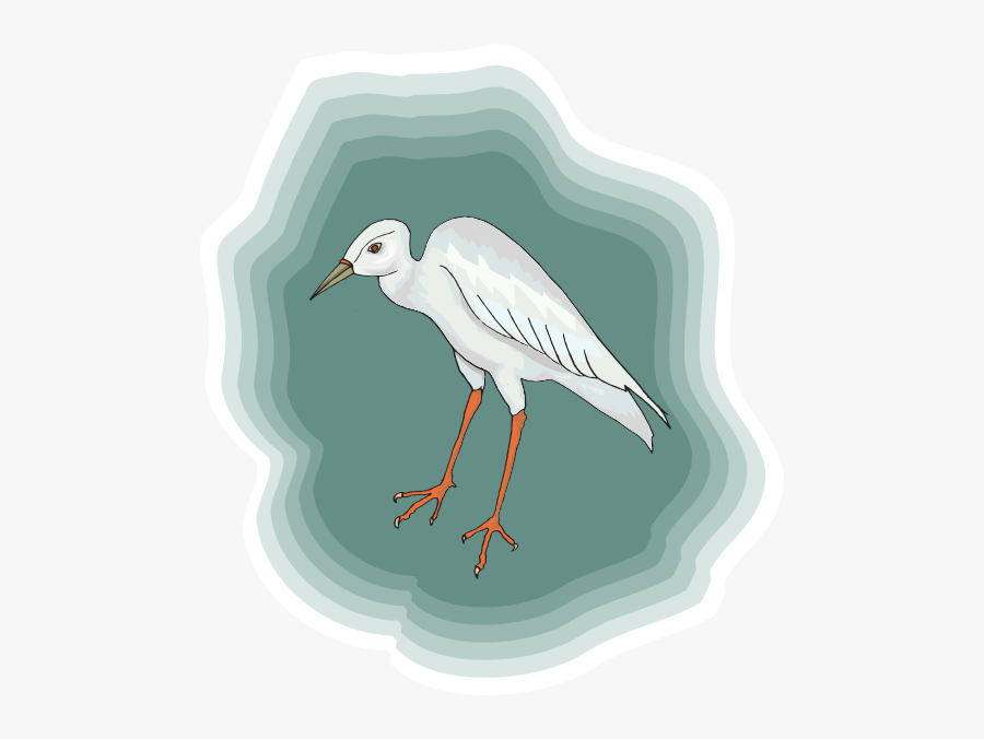 Heron, Transparent Clipart