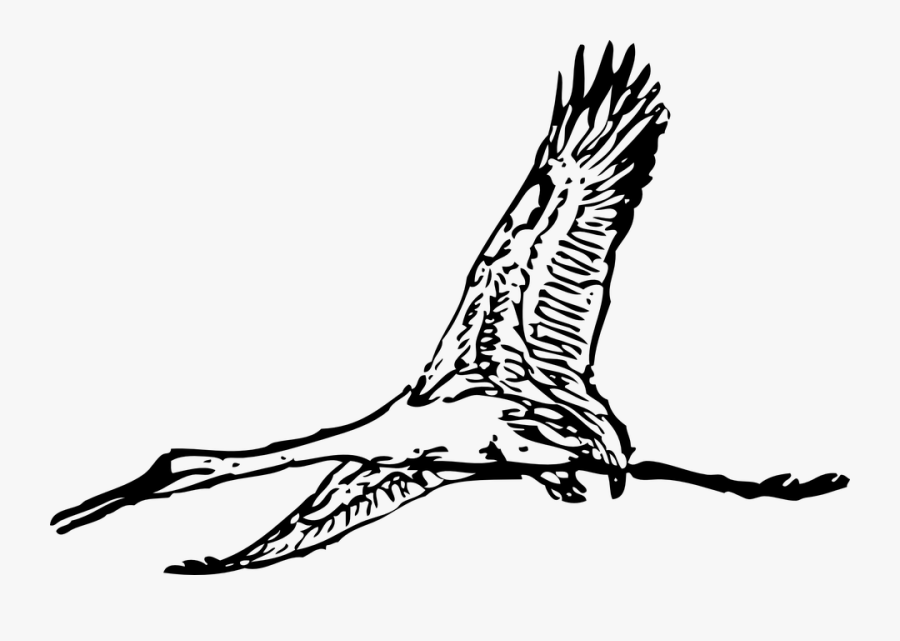Transparent Heron Clipart - Giant Bird Clip Art, Transparent Clipart