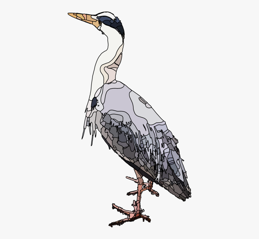 Pelecaniformes,water Bird,cranelike Bird - White Stork, Transparent Clipart