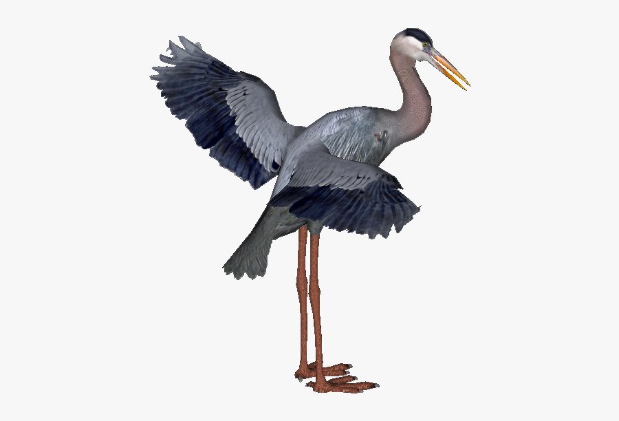 Download Heron Png Hd For Designing Projects - Great Blue Heron Transparent, Transparent Clipart