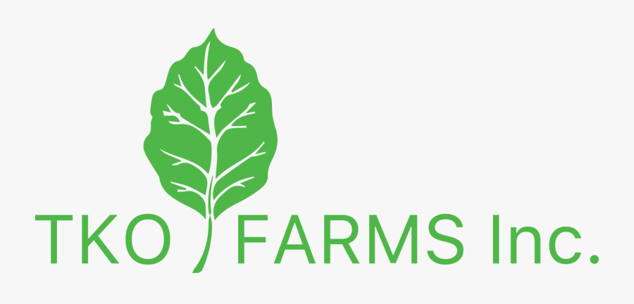 Investment A Brief Guide, Transparent Clipart