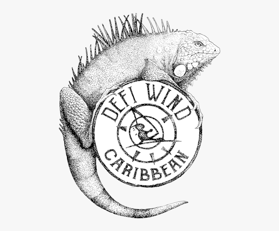 Iguana Bloc010 - No Trans Fat Logo, Transparent Clipart