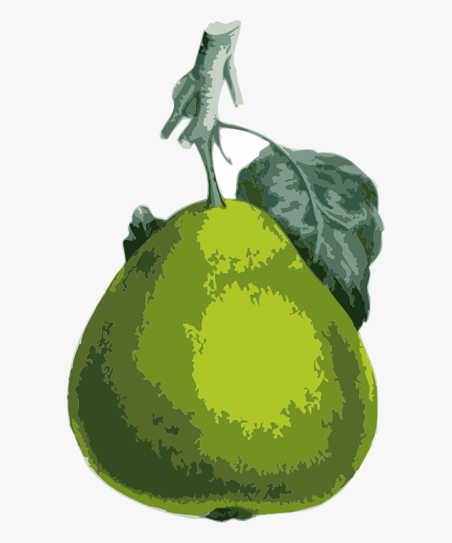 Pear, Transparent Clipart