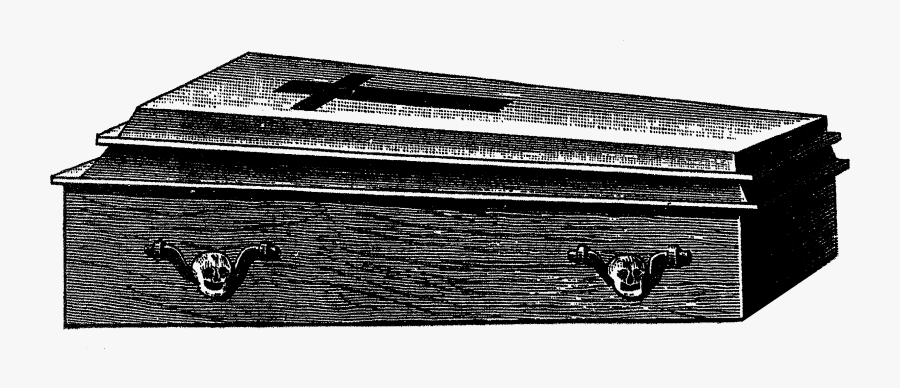 Trunk, Transparent Clipart