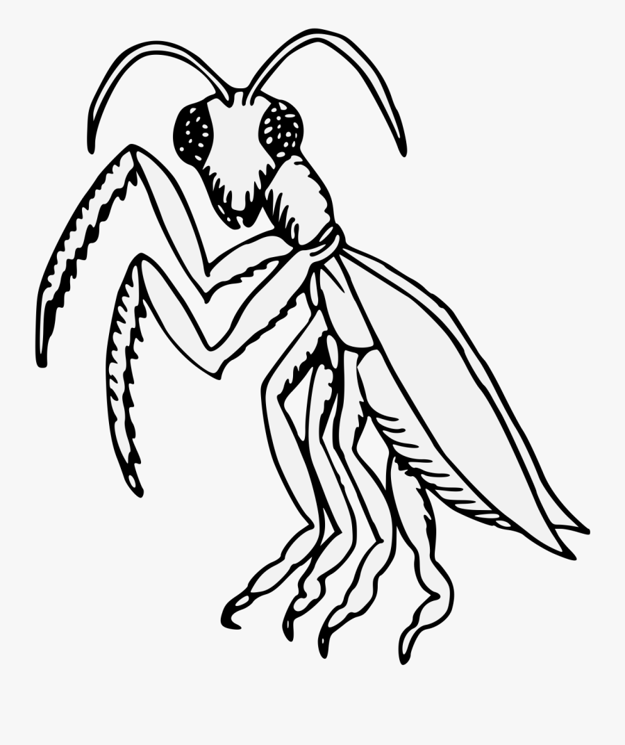 Transparent Praying Mantis Clipart - Heraldic Praying Mantis, Transparent Clipart