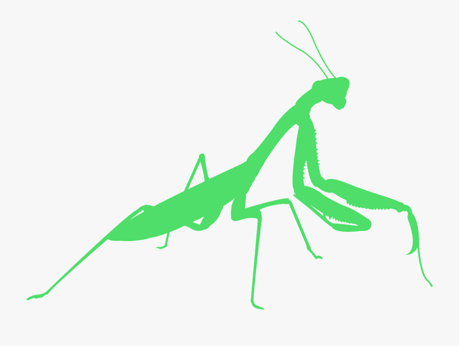 Mantidae, Transparent Clipart