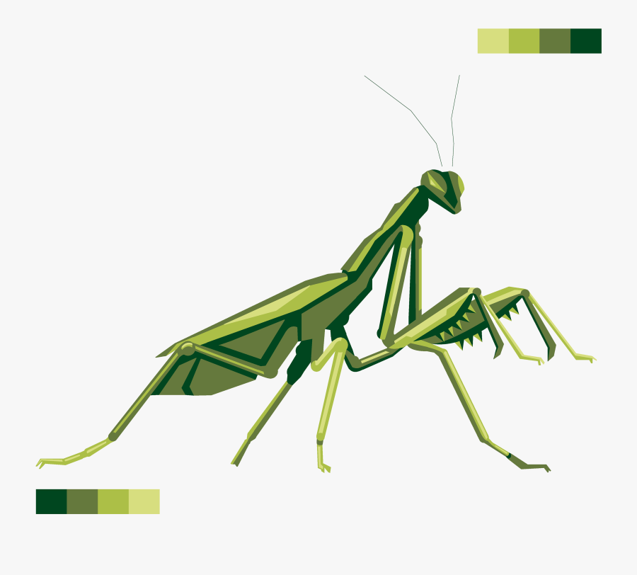 Transparent Praying Mantis Png - Praying Mantis Png, Transparent Clipart
