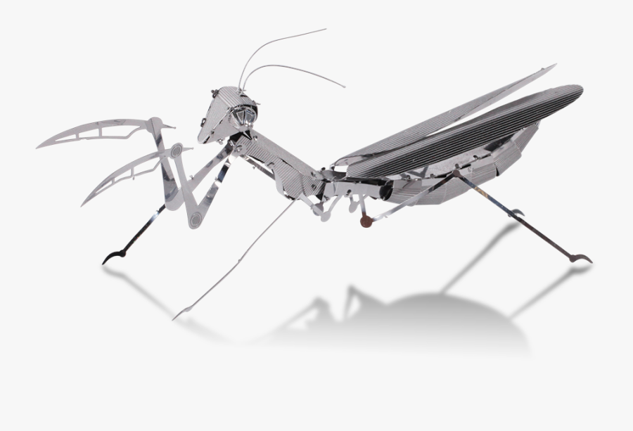 Remote Control Praying Mantis, Transparent Clipart