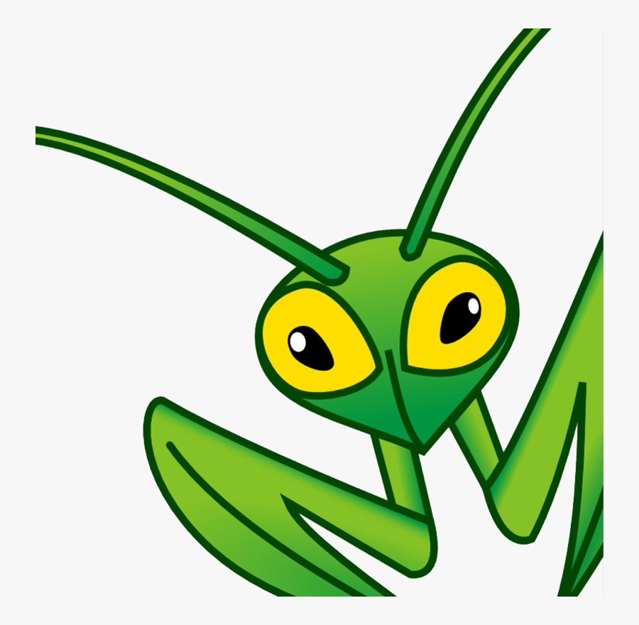 Mantis Bug Tracker, Transparent Clipart