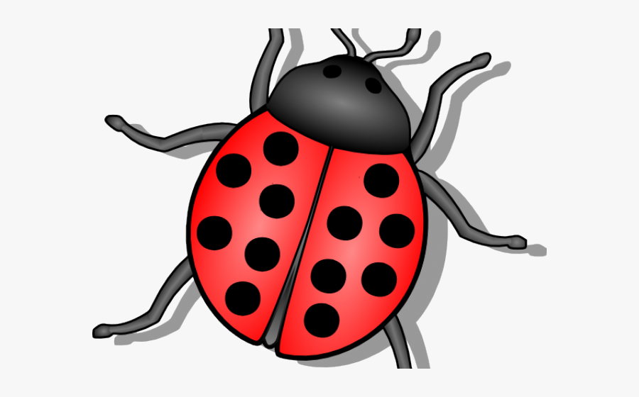 Bug Vector, Transparent Clipart