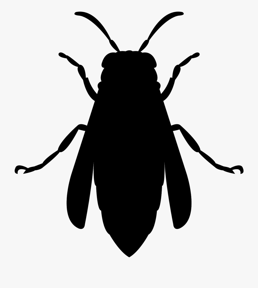 Silueta Avispa, Transparent Clipart