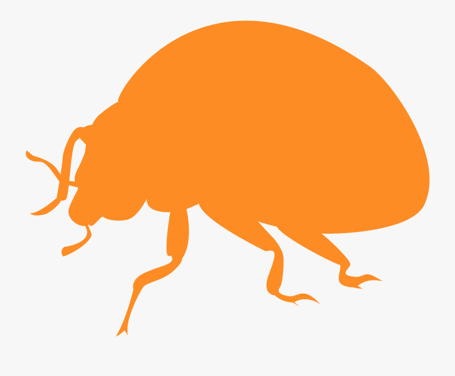 Mariquita Silueta, Transparent Clipart