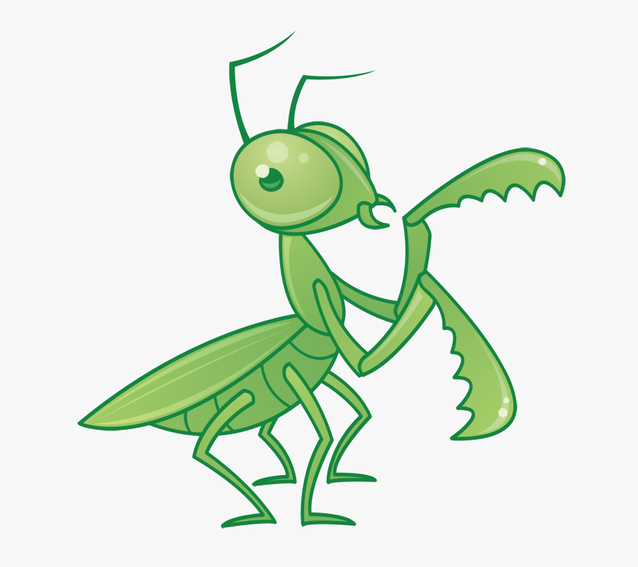 Mantis Transparent Png - Cartoon Praying Mantis, Transparent Clipart
