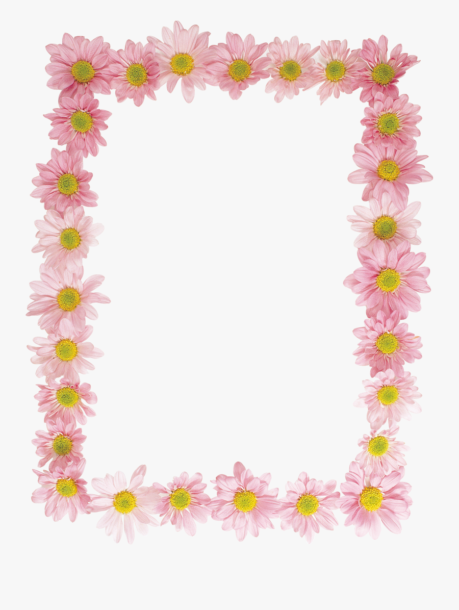 Floral Frame Png - African Daisy, Transparent Clipart
