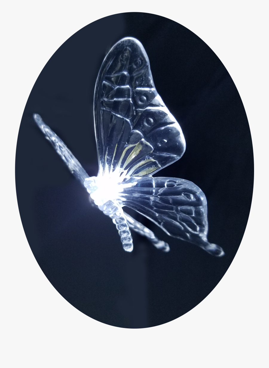Fairy Butterfly 12 X White Colour Led String Lights - Insect, Transparent Clipart
