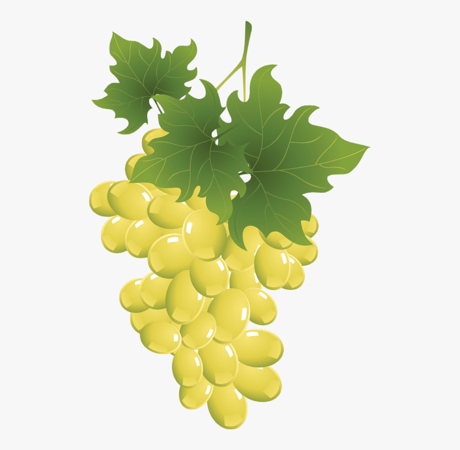 Transparent Raisins Clipart - Fruit Vector, Transparent Clipart