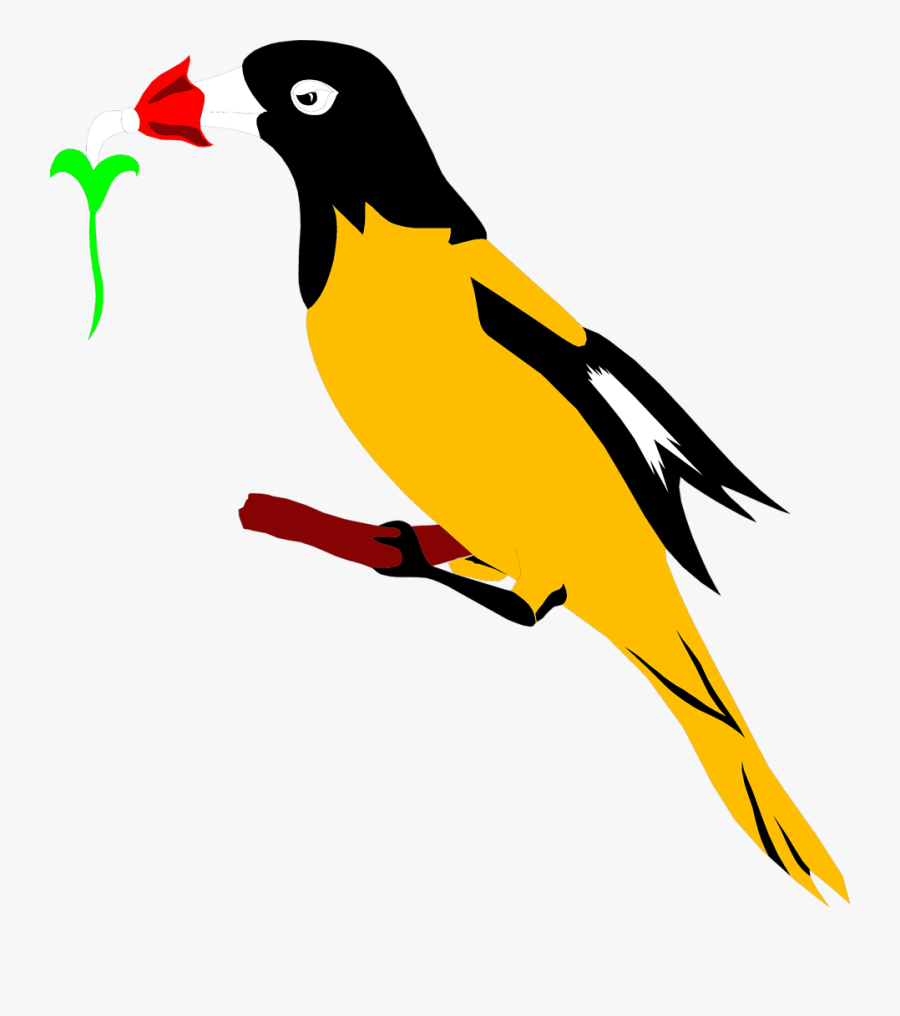 Clip Art Png Baltimore Oriole, Transparent Clipart
