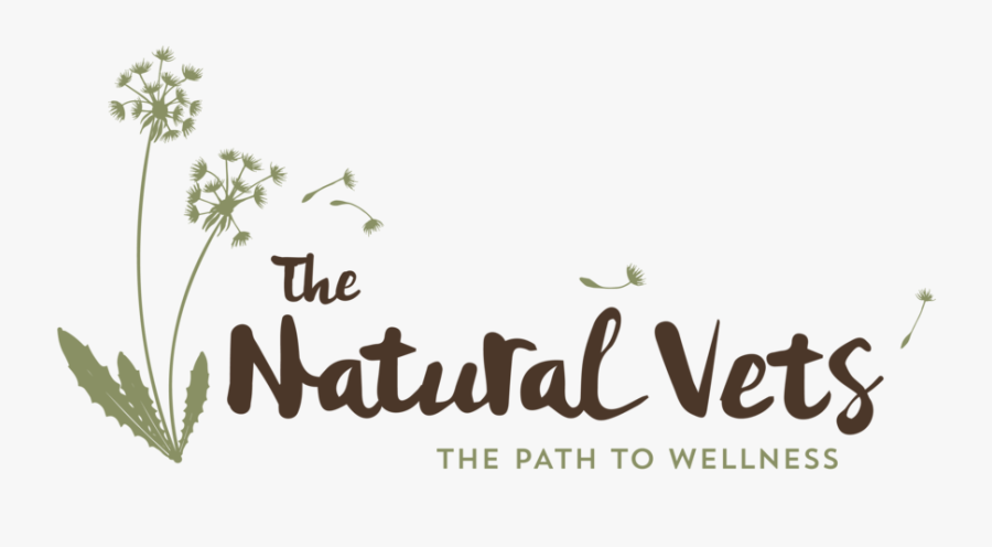 Natural Vets, Transparent Clipart