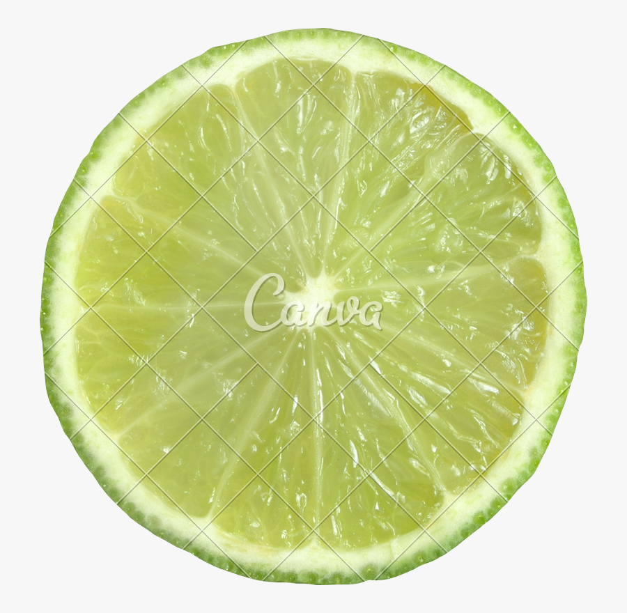 Clip Art Sliced Lime Key Lime , Free Transparent Clipart ClipartKey