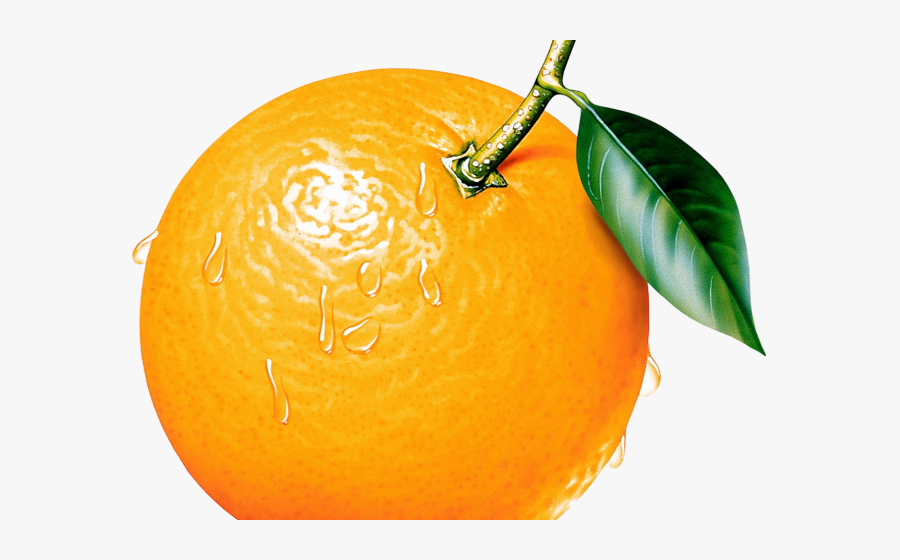 Orange Clipart, Transparent Clipart