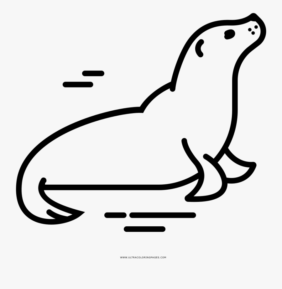 Earless Seal Drawing Ski Skins Coloring Book - Foca Black And White, Transparent Clipart
