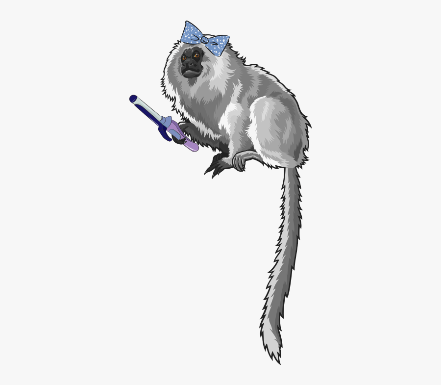 Golden Lion Tamarin Png, Transparent Clipart