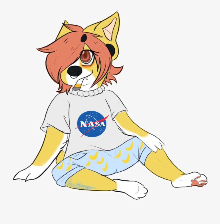 Bruises And Bite Marks Say - Nasa, Transparent Clipart