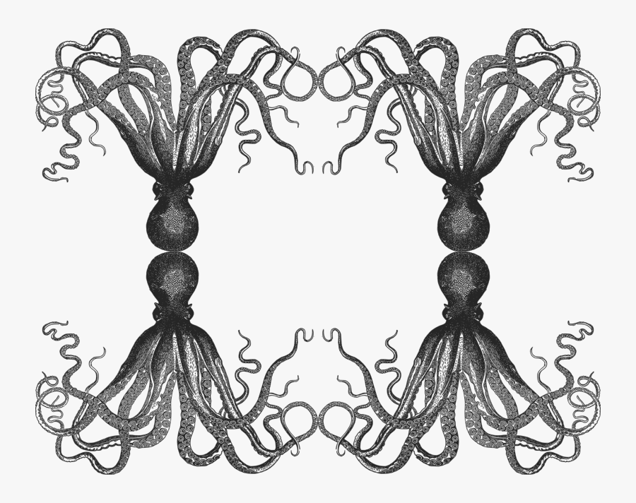 Octopus Background, Transparent Clipart