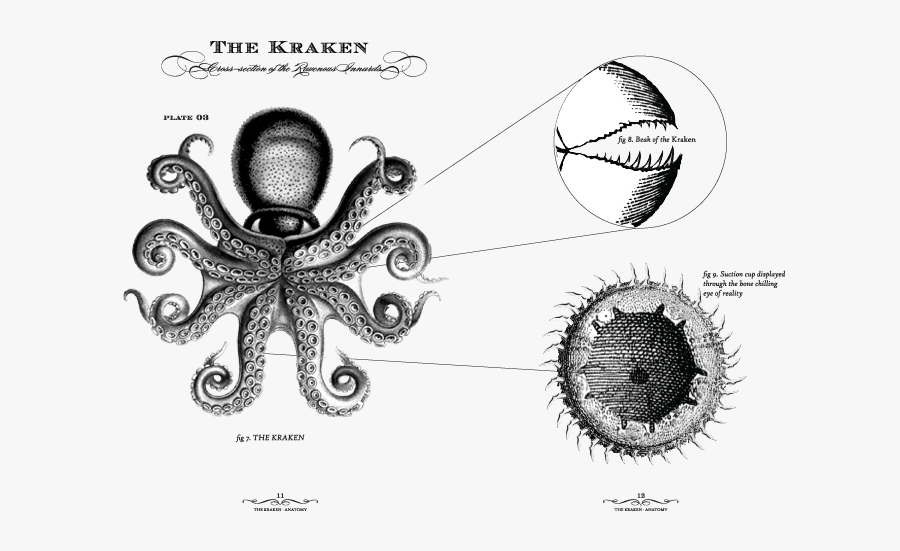 Transparent Octopus Tentacle Png - Design For Discovery Channel, Transparent Clipart