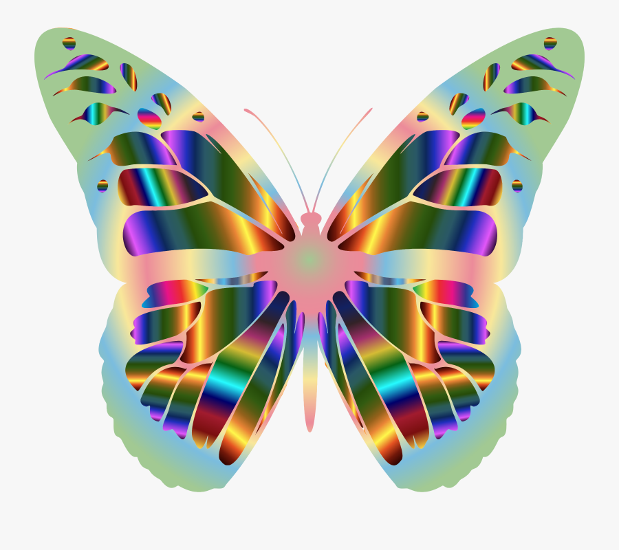 Monarch Butterfly Outline Drawing Clip Art , Png Download - Butterfly, Transparent Clipart