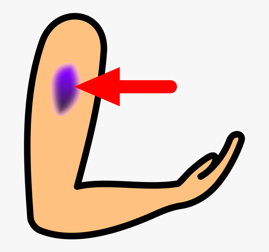 Picture, Transparent Clipart