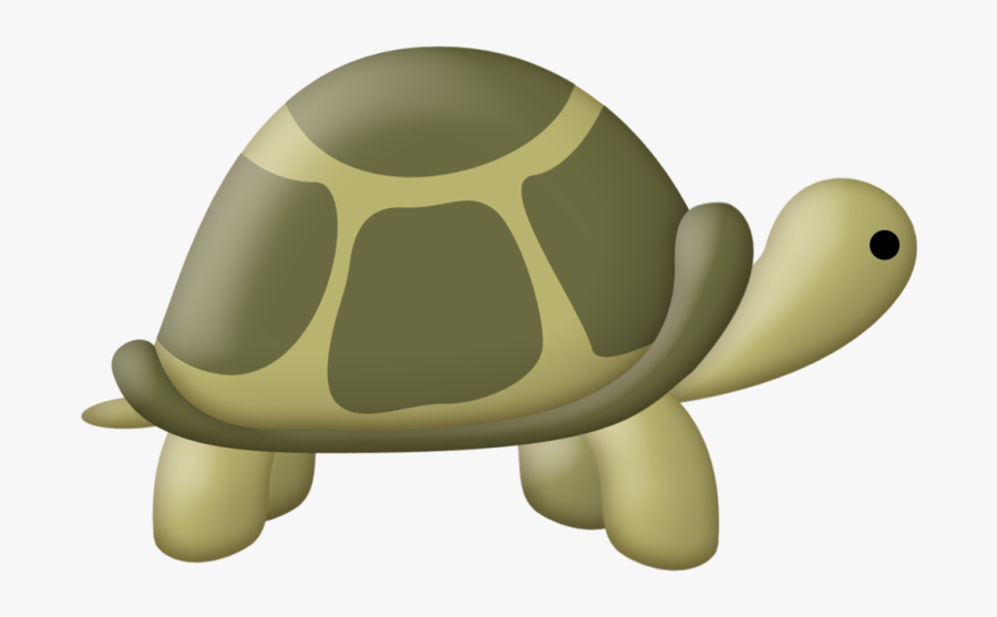 Galápagos Tortoise, Transparent Clipart