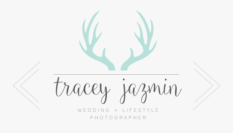 Calligraphy, Transparent Clipart