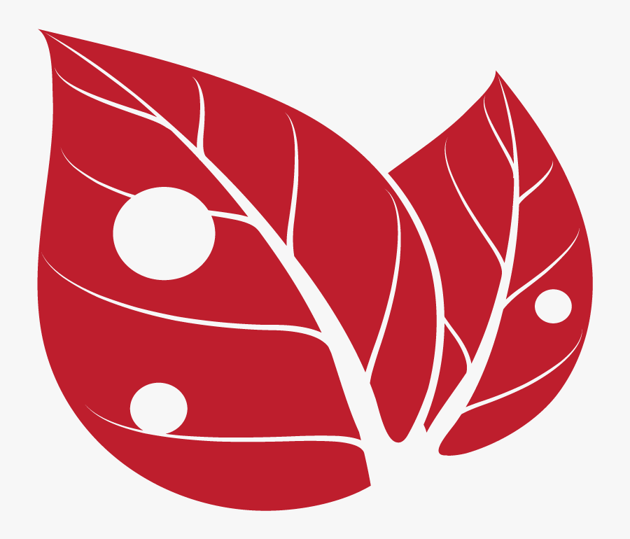 Increase The Value And Appeal Of Your Property By Contracting, Transparent Clipart