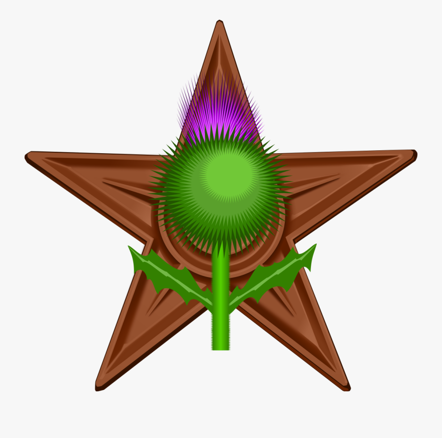 Transparent Scottish Thistle Clipart - Coppell High School Football Logo, Transparent Clipart