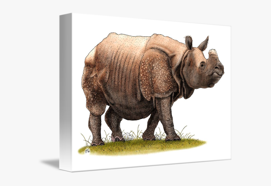 Transparent Rhinoceros Clipart - Indian Rhinoceros, Transparent Clipart
