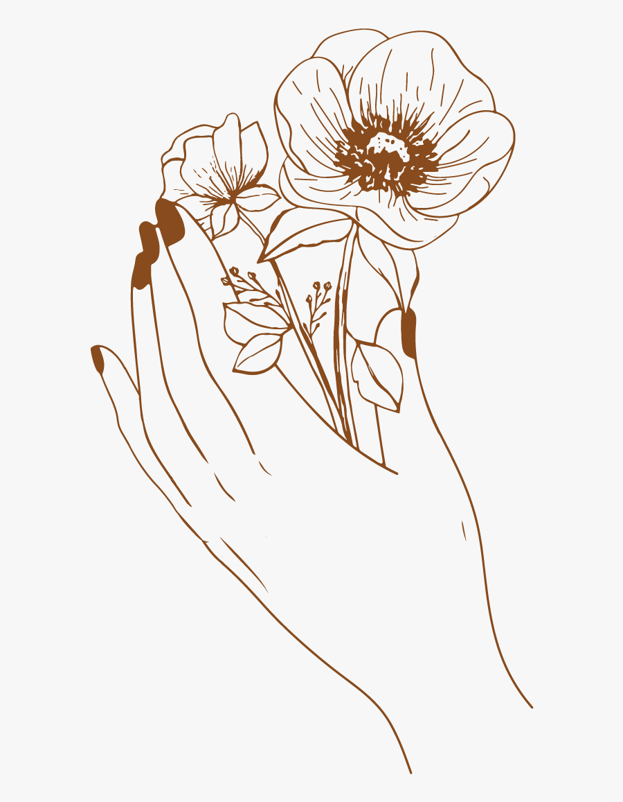 Milk And Thistle California Photographer - Chrysanths, Transparent Clipart