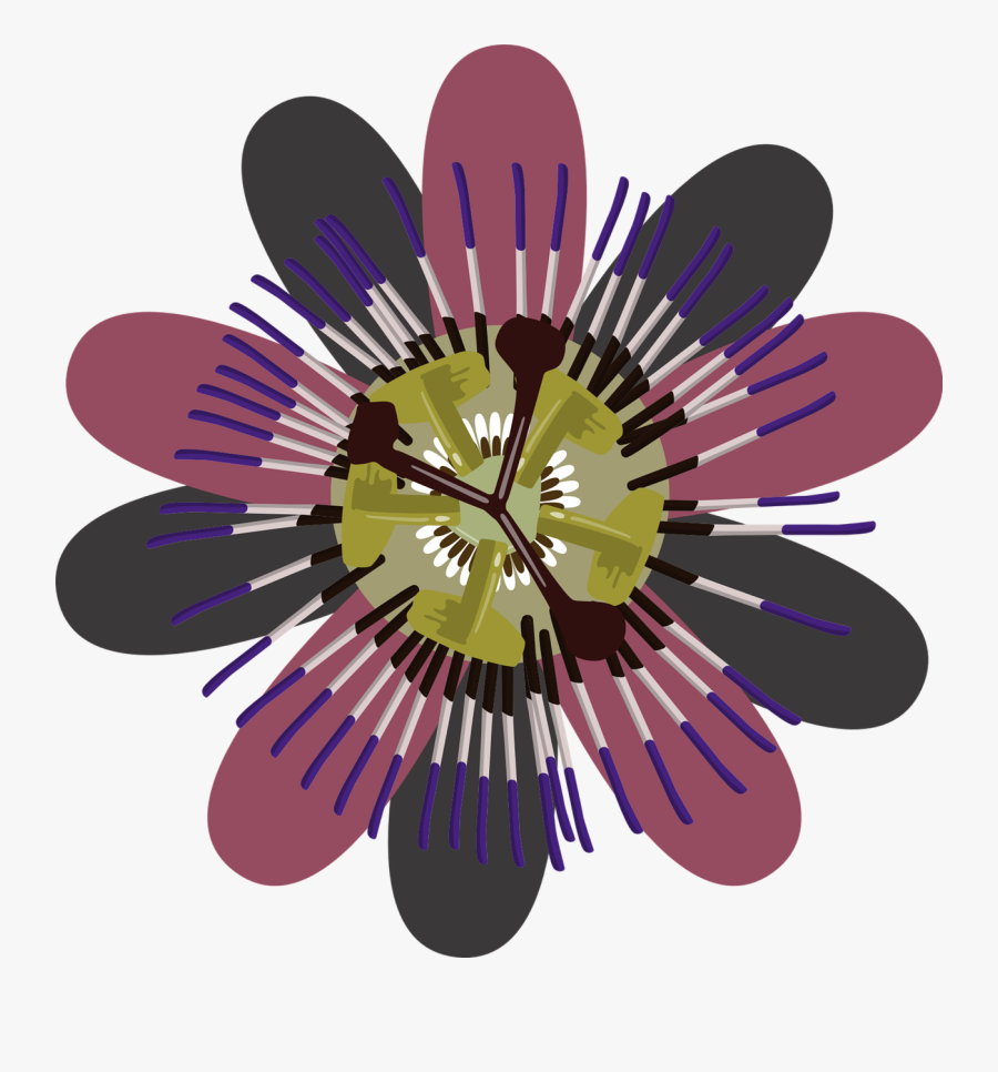 Flower Purple Clip Art Free Picture - Clip Art Flower 1080 P, Transparent Clipart