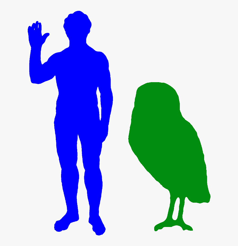 Silhouette At Getdrawings Com - Biggest Owl Compared To Human, Transparent Clipart