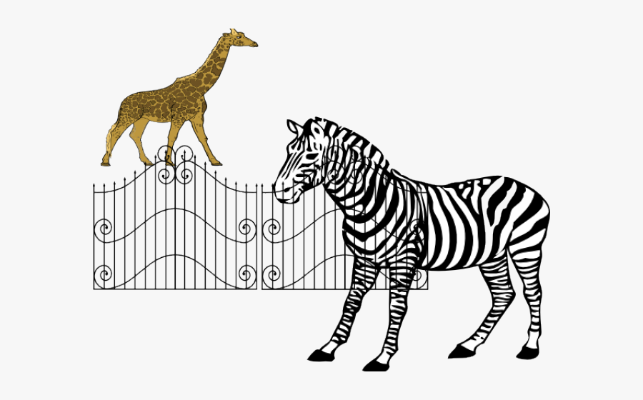 Zoo Clipart Zebra - Zebra Clipart Black And White, Transparent Clipart
