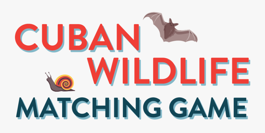 Cuban Wildlife Matching Game - Graphic Design, Transparent Clipart